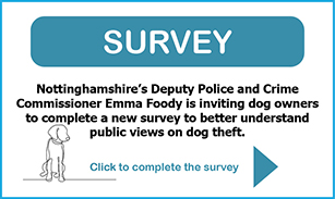 Dog Theft Survey 307x183