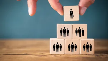 Generic image to illustrate an organisational structure